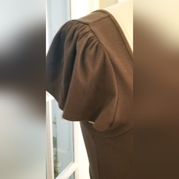 NEW Target Wild Fable brown 🤎 stretch cotton cap sleeve flared skater dress XXL - Picture 4 of 5